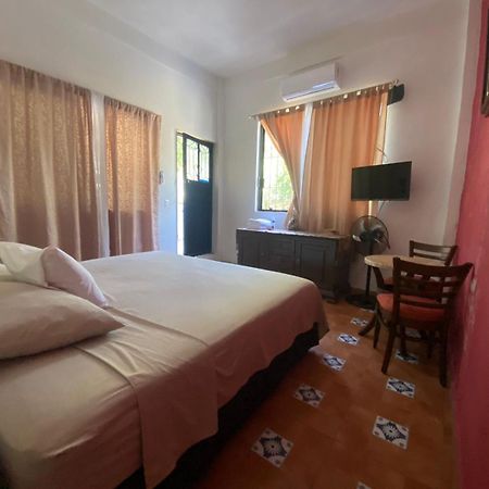 Familia Sosa Suazo Daire San José del Cabo Dış mekan fotoğraf