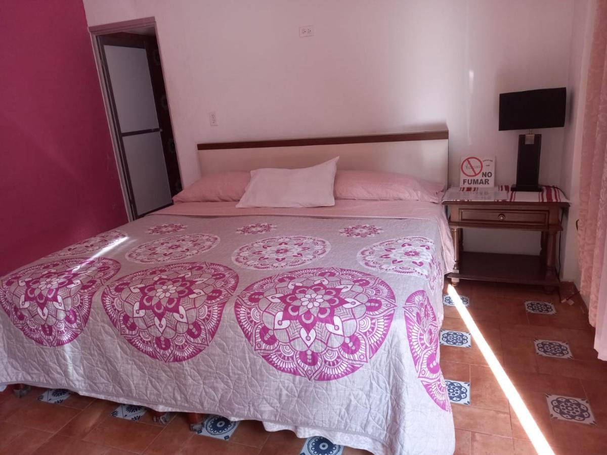 Familia Sosa Suazo Daire San José del Cabo Dış mekan fotoğraf