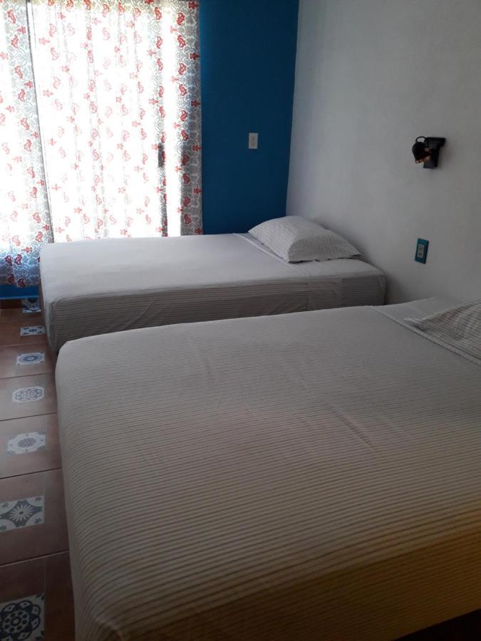 Familia Sosa Suazo Daire San José del Cabo Dış mekan fotoğraf